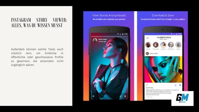 Instagram Story Viewer