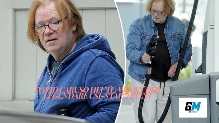 David Caruso heute