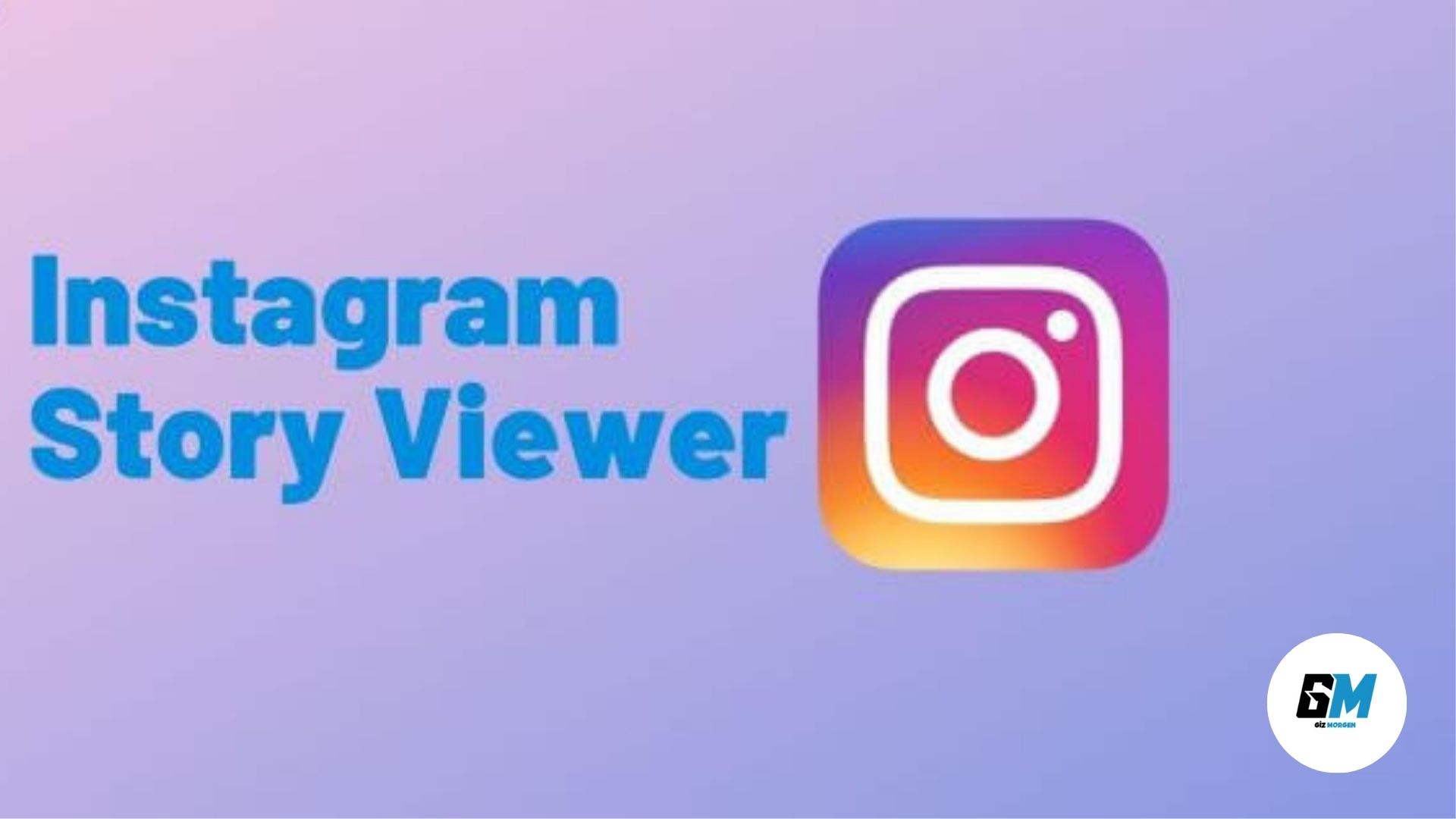 Instagram Story Viewer